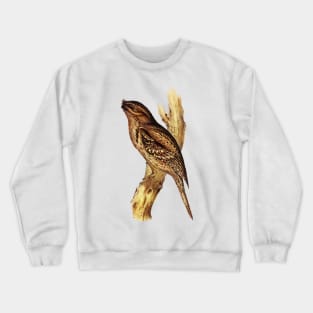 Australian Tawny Frogmouth Bird Illustration Crewneck Sweatshirt